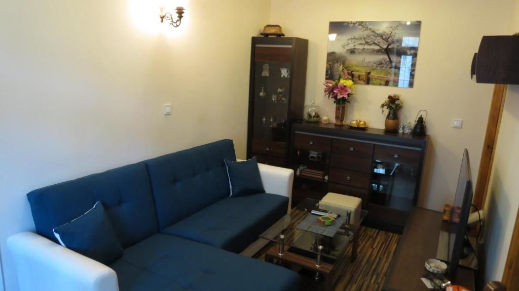 Апартаменты Apartment Capt. Seferovic Дони-Моринь-87